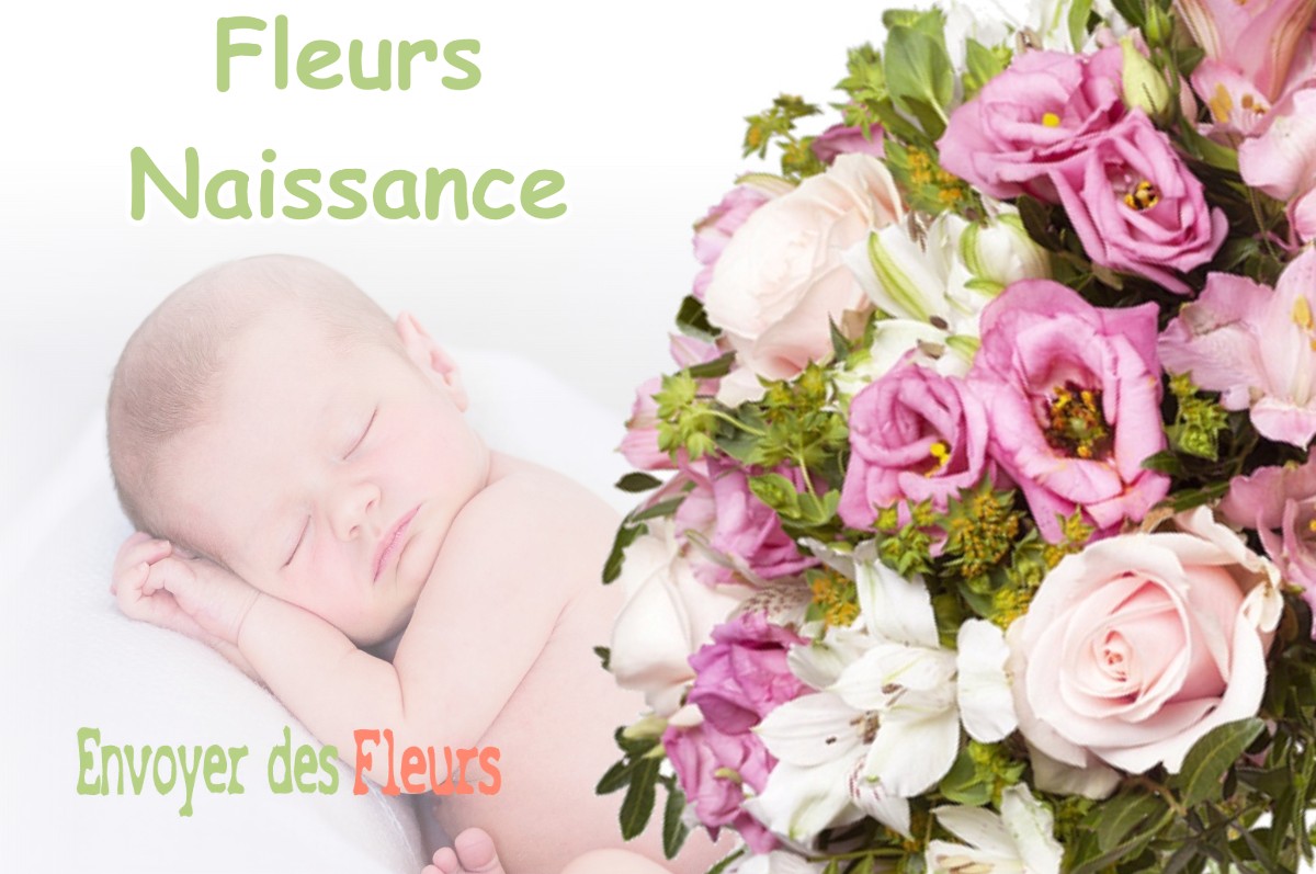 lIVRAISON FLEURS NAISSANCE à ECLANS-NENON